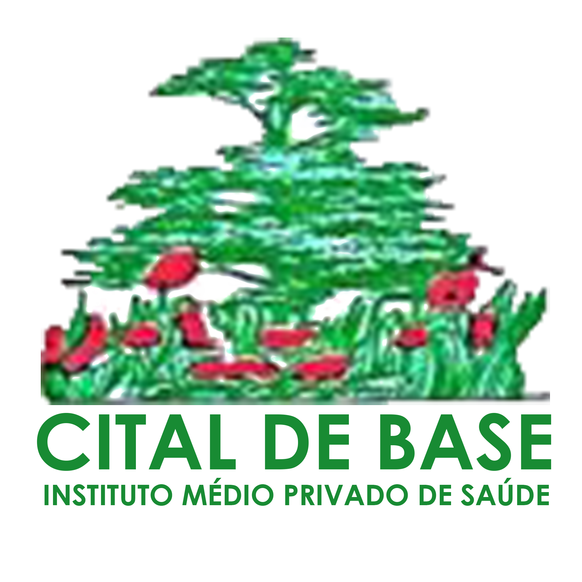 Cliente